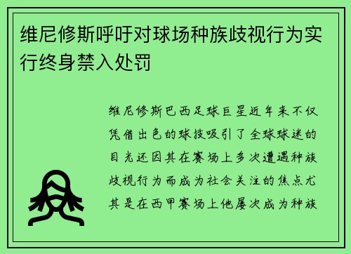 维尼修斯呼吁对球场种族歧视行为实行终身禁入处罚