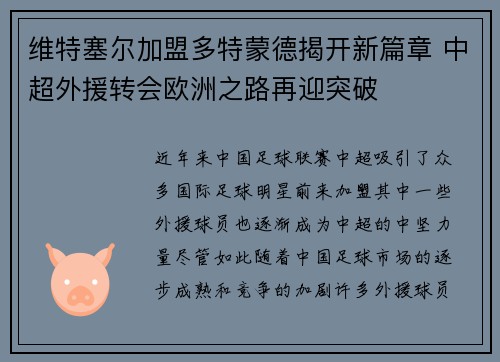维特塞尔加盟多特蒙德揭开新篇章 中超外援转会欧洲之路再迎突破