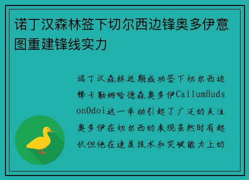 诺丁汉森林签下切尔西边锋奥多伊意图重建锋线实力